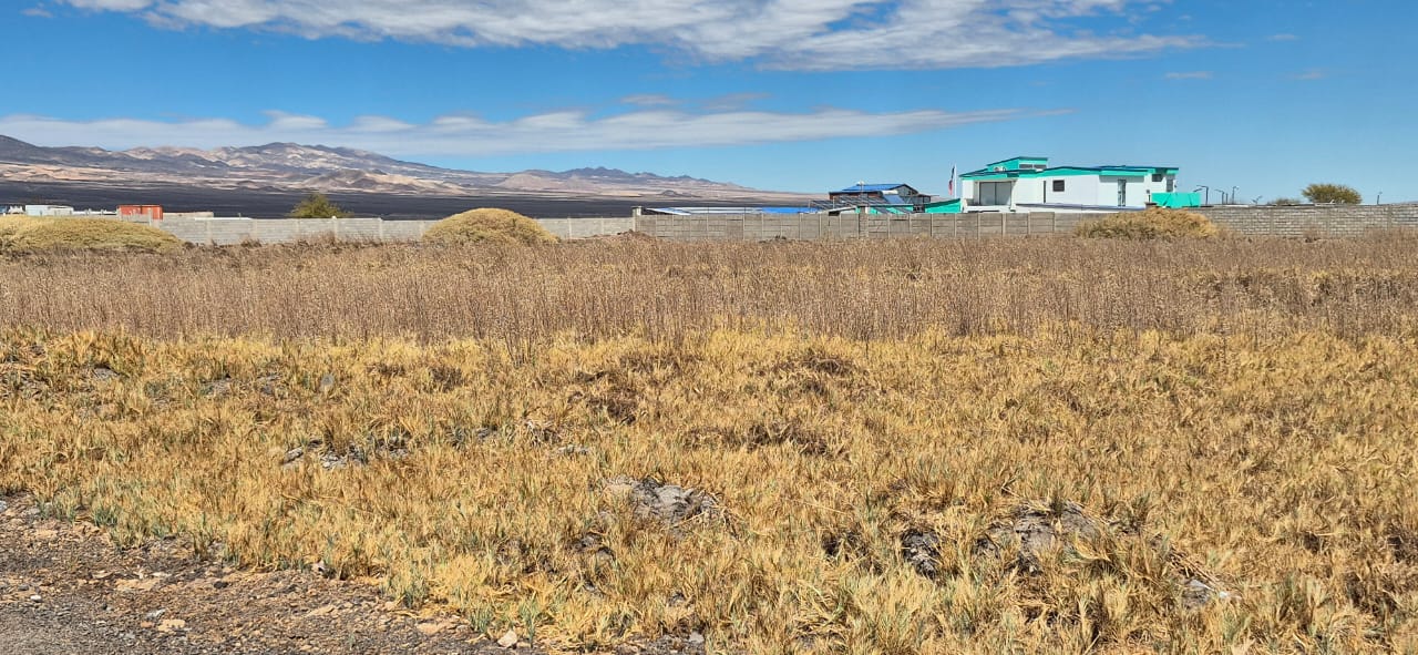 Parcela en Ojos de Opache 5000 M2
