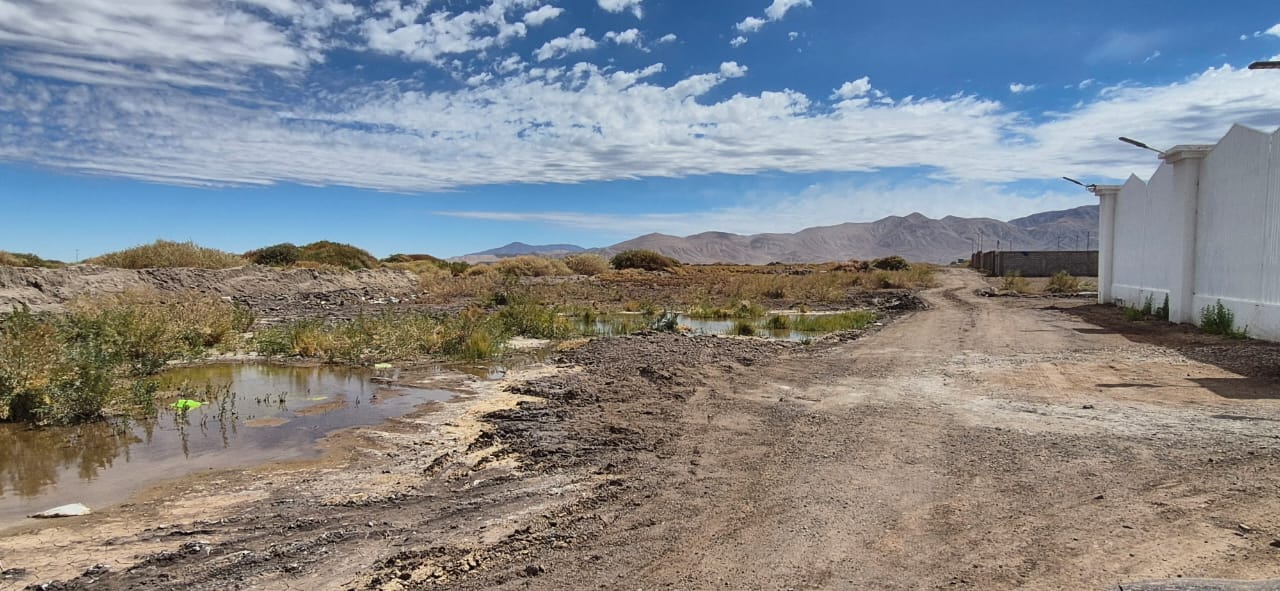 Parcela en Ojos de Opache 5000 M2