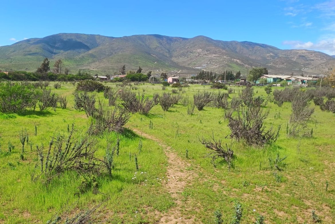 Parcela en venta en Tambillos, Coquimbo 5000 m2