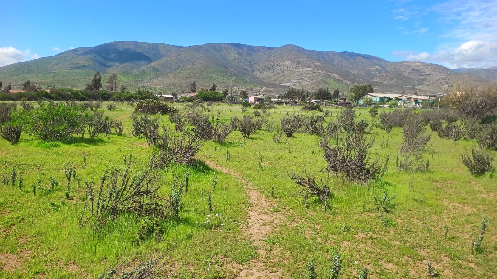 Parcela en venta en Tambillos, Coquimbo 5000 m2