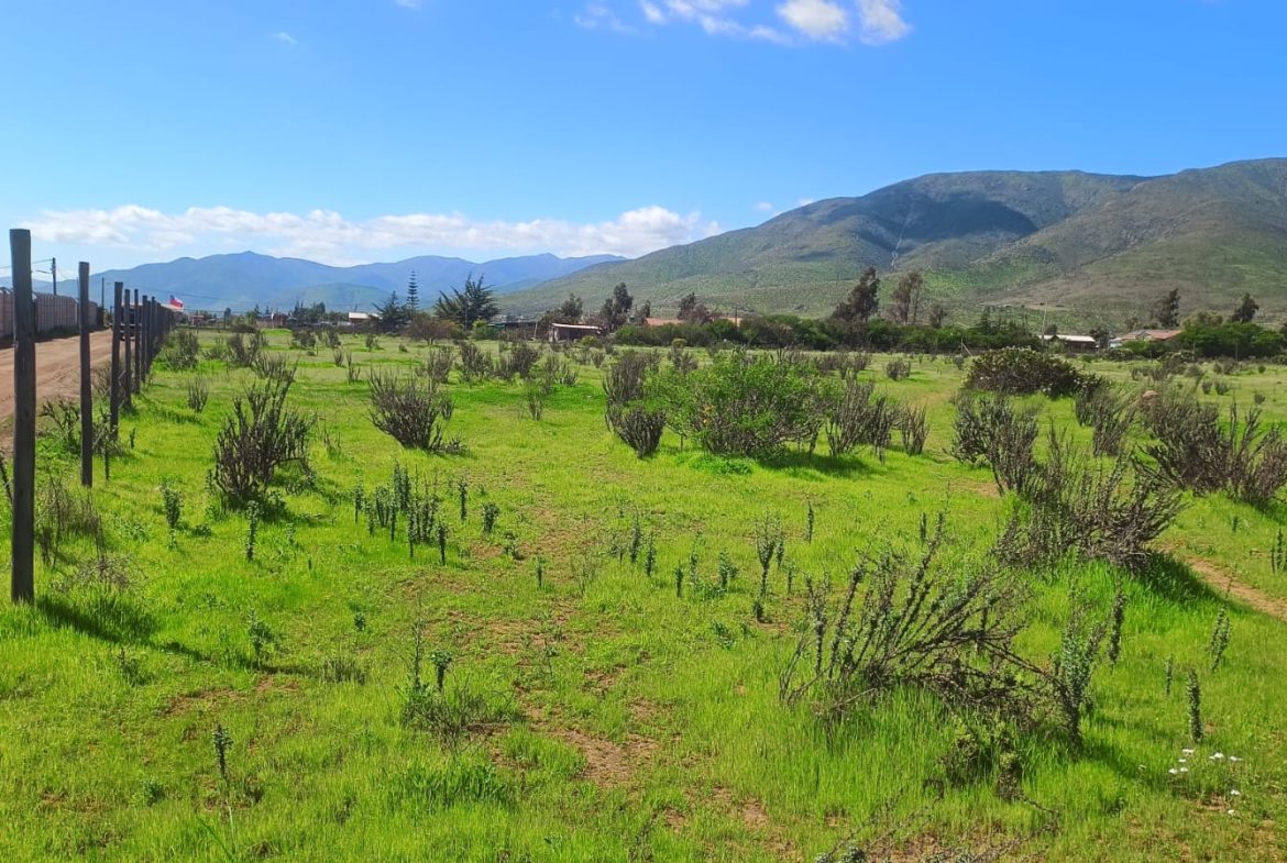 Parcela en venta en Tambillos, Coquimbo 5000 m2