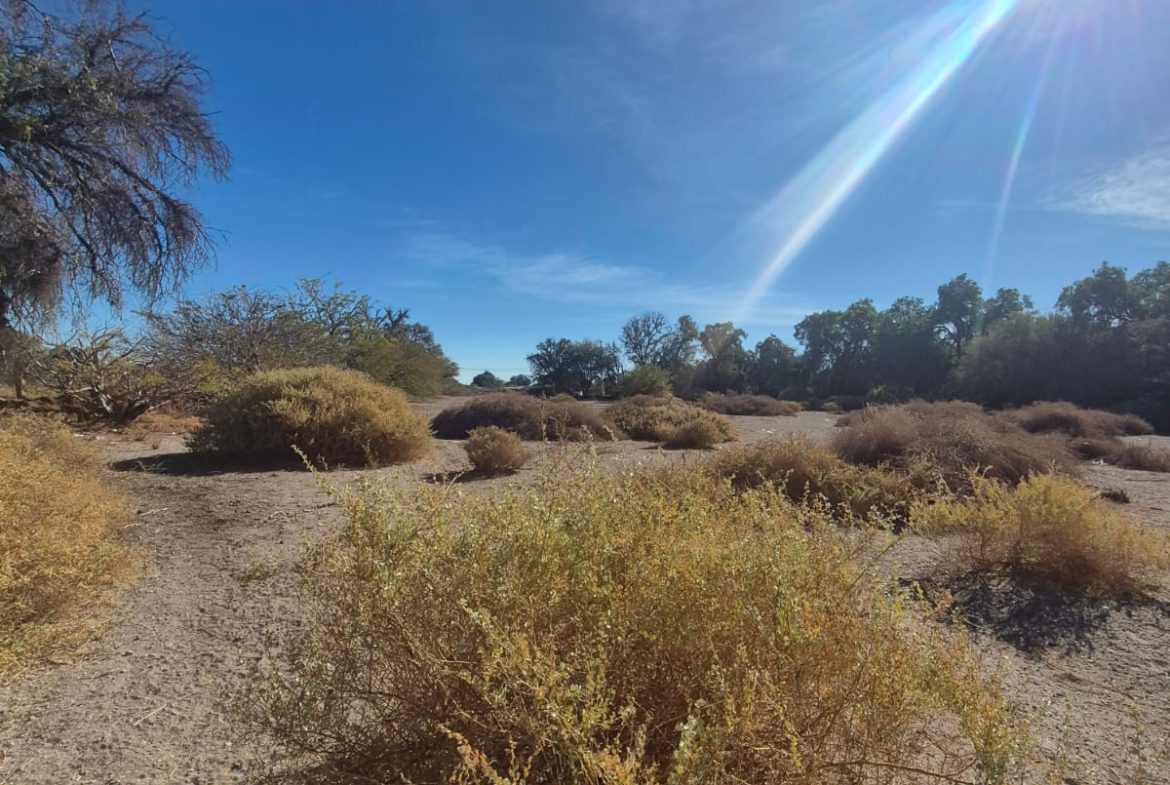 Terreno en venta en La Banda, Calama, de 20.500 m².