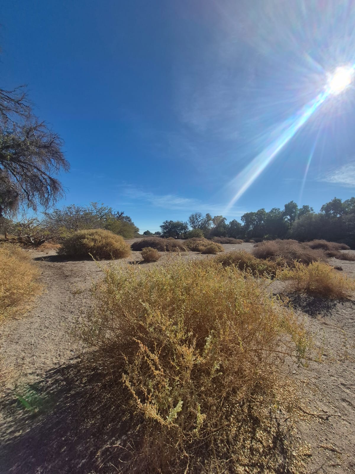 Terreno en venta en La Banda, Calama, de 20.500 m².