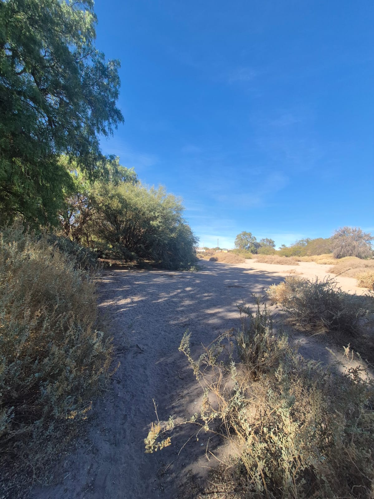 Terreno en venta en La Banda, Calama, de 20.500 m².