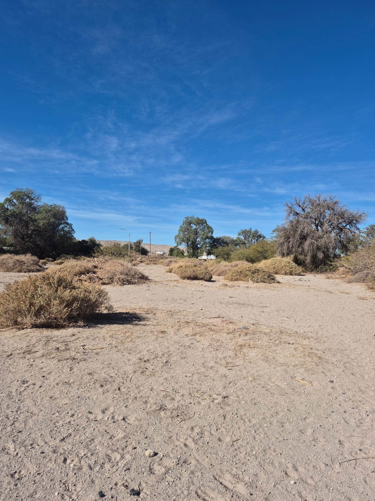 Terreno en venta en La Banda, Calama, de 20.500 m².