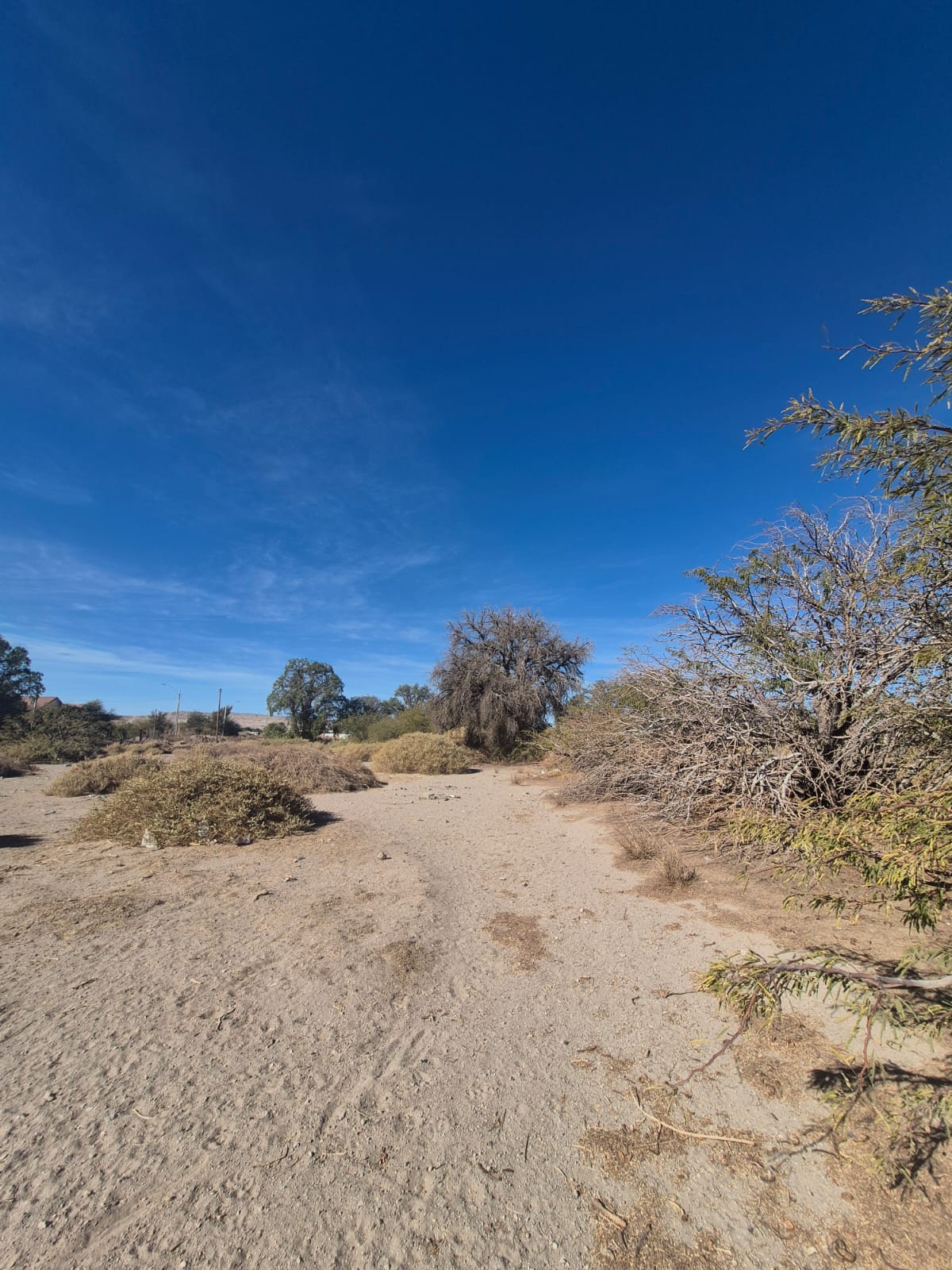 Terreno en venta en La Banda, Calama, de 20.500 m².