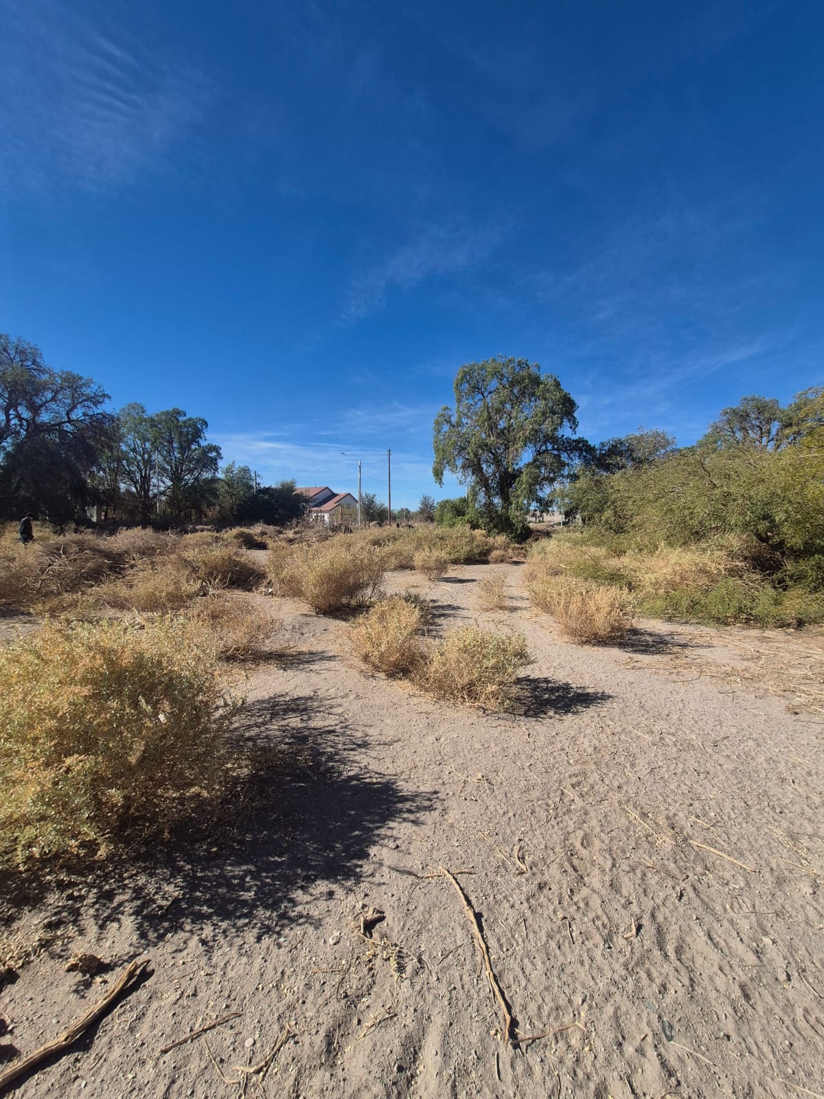 Terreno en venta en La Banda, Calama, de 20.500 m².